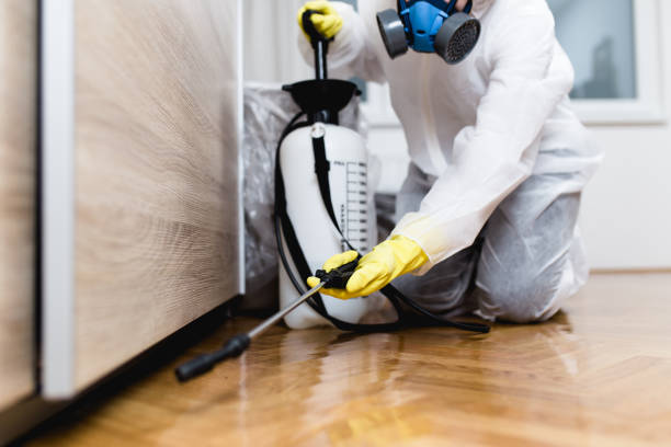 Best Pest Prevention Services  in Ridge, NY