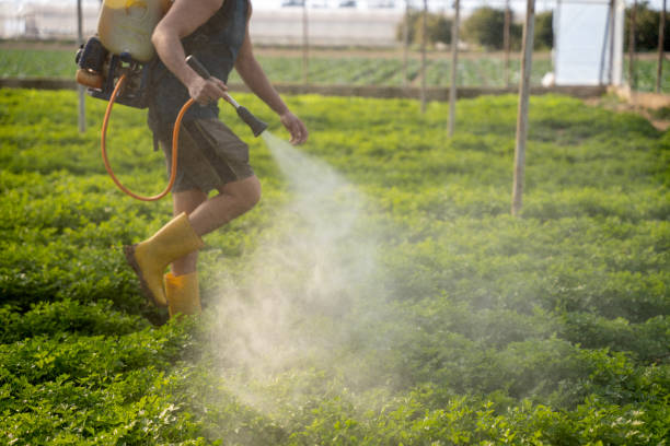 Best Local Pest Control Services  in Ridge, NY