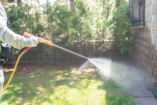 Professional Pest Control in Ridge, NY