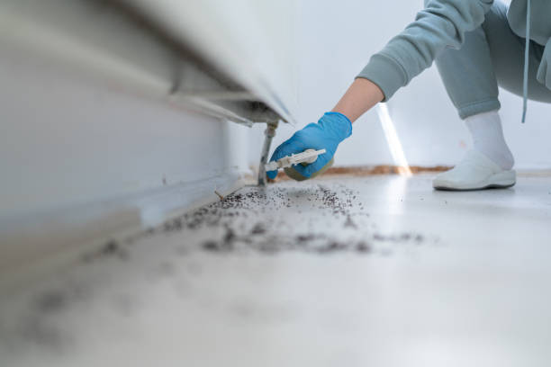 Best Wildlife Control Services  in Ridge, NY