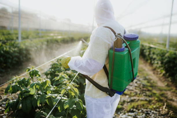 Best Bed Bug Extermination  in Ridge, NY